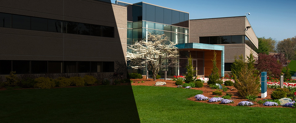 Clifton Park Landscapers