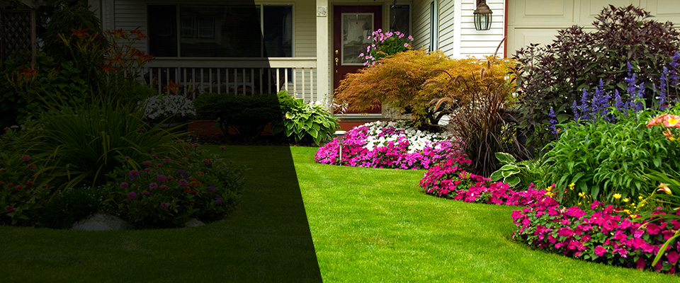 Clifton Park Landscapers